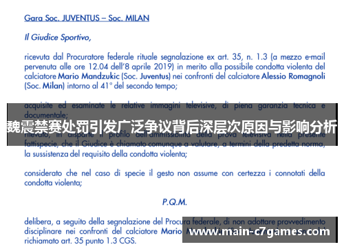 魏震禁赛处罚引发广泛争议背后深层次原因与影响分析