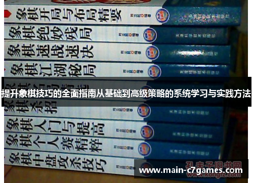 提升象棋技巧的全面指南从基础到高级策略的系统学习与实践方法 提升象棋技巧的全面指南从基础到高级策略的系统学习与实践方法
