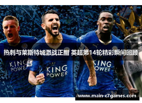 热刺与莱斯特城激战正酣 英超第14轮精彩瞬间回顾