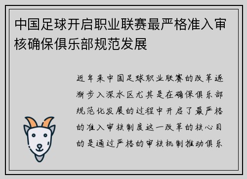 中国足球开启职业联赛最严格准入审核确保俱乐部规范发展